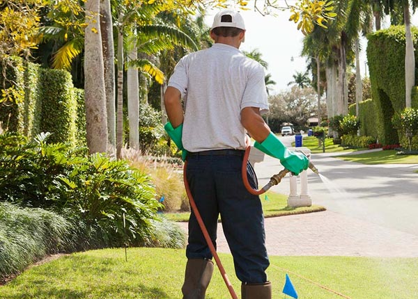 About Alviso CA Pest Control
